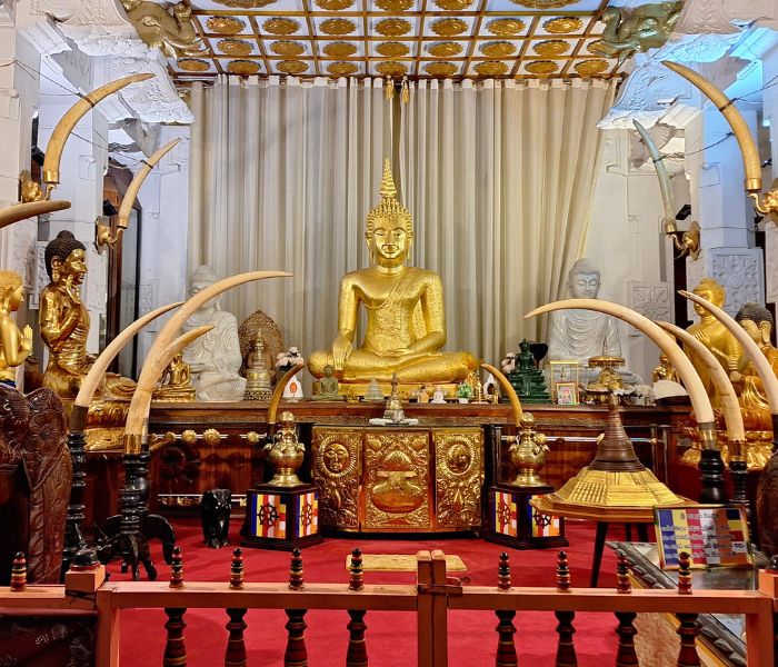 Sri Lanka Viaje Retiro Yoga Meditación Ayurveda Budismo Ambica Devi