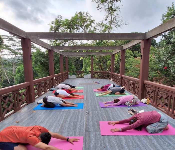 Sri Lanka Viaje Retiro Yoga Meditación Budismo Ayurveda Ambica Devi