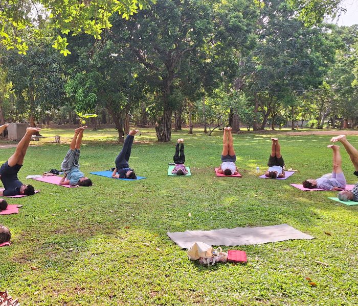 Sri Lanka Viaje Retiro Yoga Meditación Budismo Ayurveda Ambica Devi