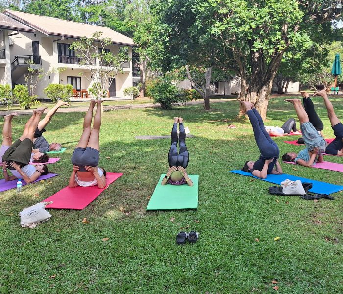 Sri Lanka Viaje Retiro Yoga Meditación Budismo Ayurveda Ambica Devi