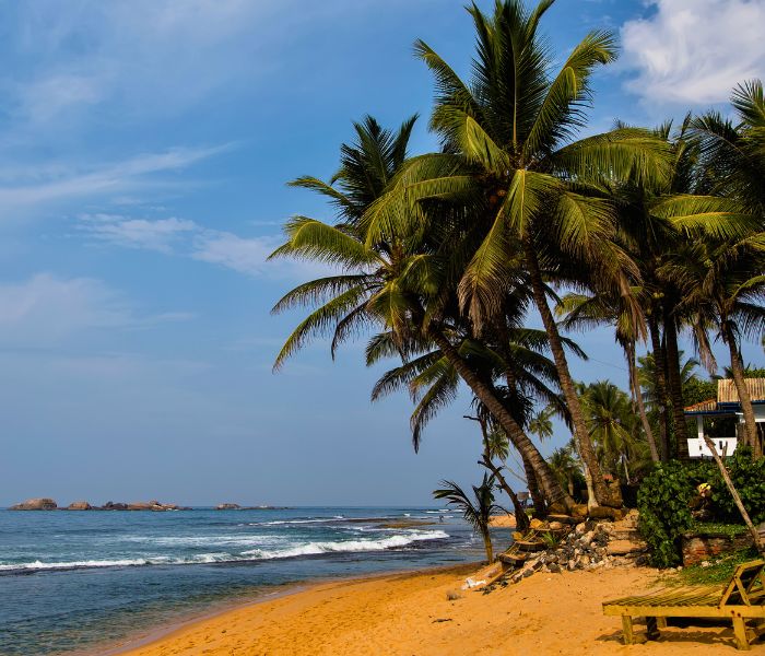 Sri Lanka Viaje Retiro Yoga Meditación Budismo Ayurveda Ambica Devi