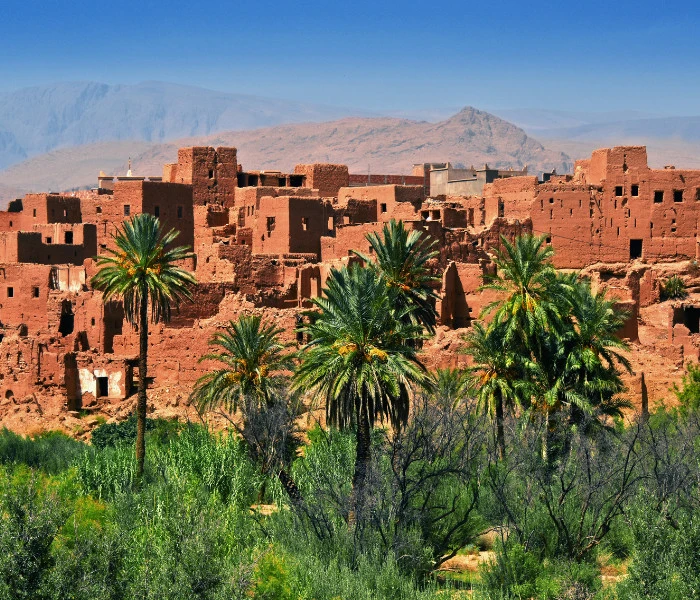 Retiro Yoga Meditación Marruecos Desierto Ambica Devi